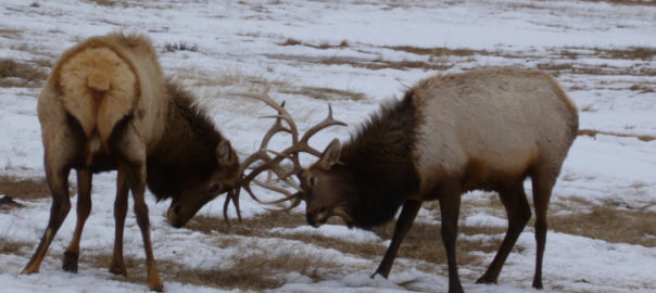 Eating Problems: Get Answers…Today!